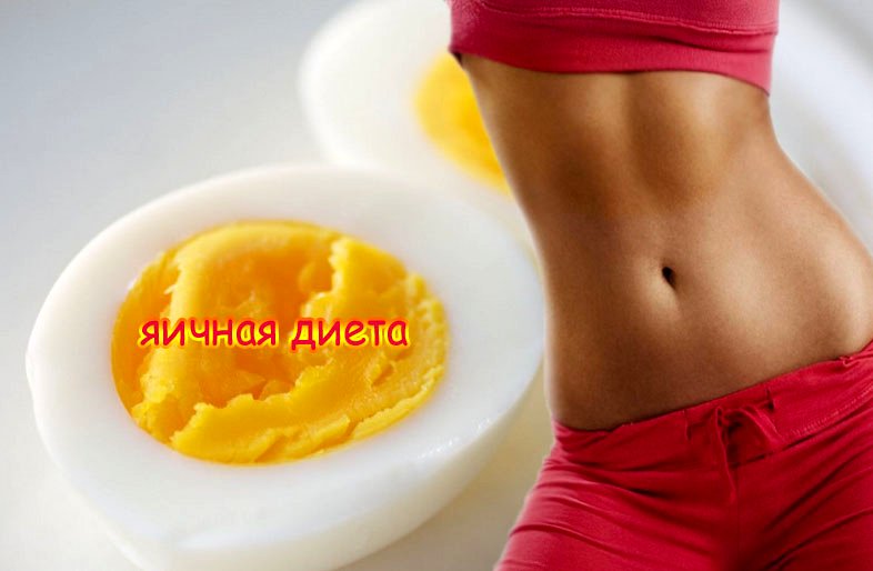 Похудеть На Одних Яйцах