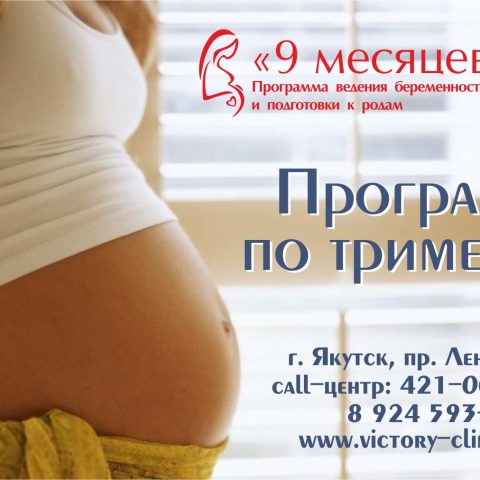 Программа Триместры_макет
